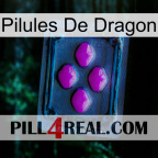 Dragon Pills 04